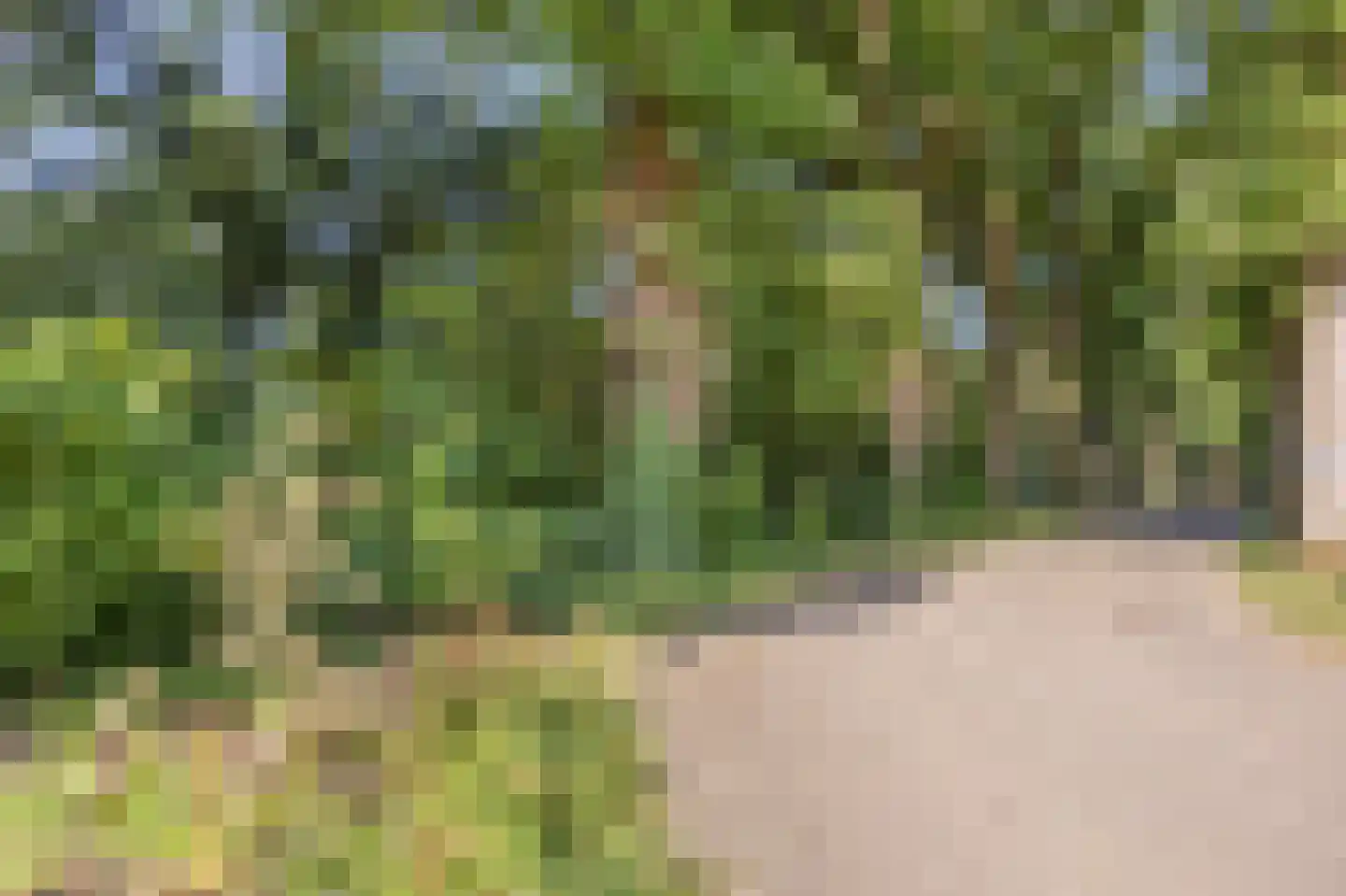Laan van Schöndeln Roermond thumbnail 13