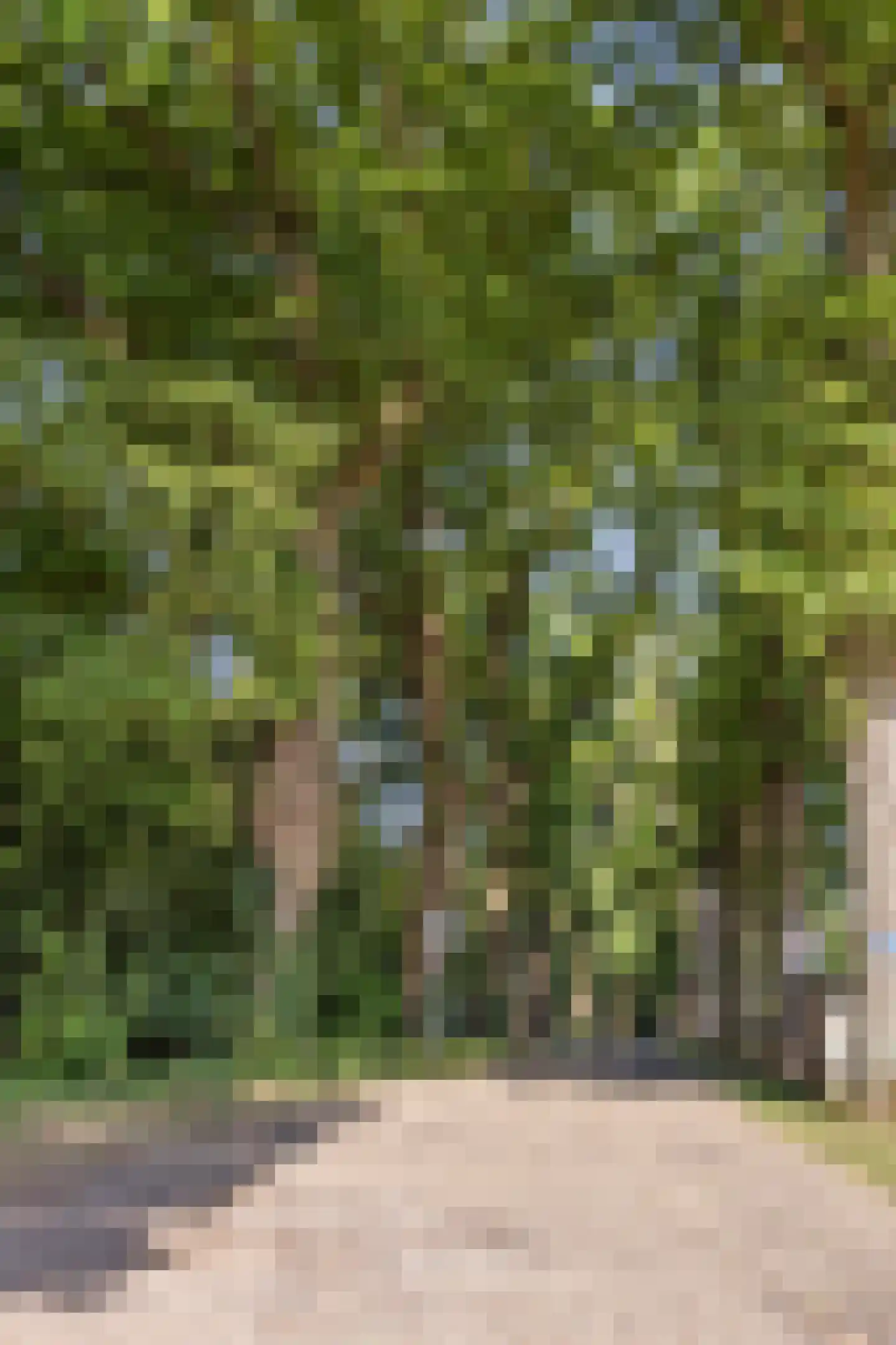 Laan van Schöndeln Roermond thumbnail 14