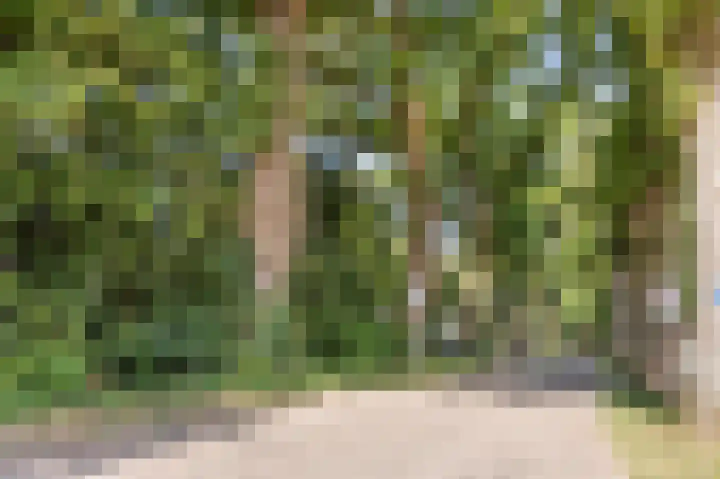 Laan van Schöndeln Roermond thumbnail 15