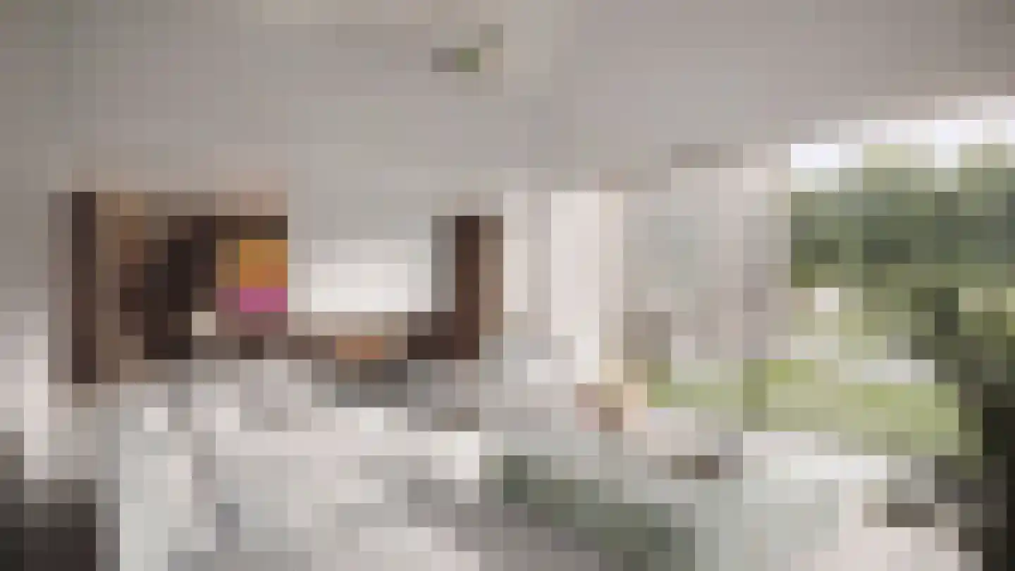 Laan van Schöndeln Roermond thumbnail 6