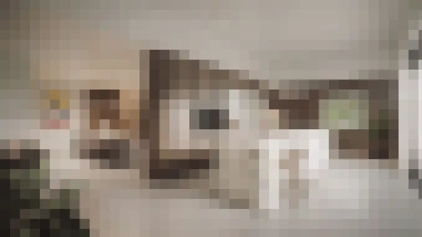 Laan van Schöndeln Roermond thumbnail 7