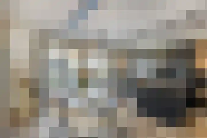 Laan van Selis 1 Boxtel thumbnail 10