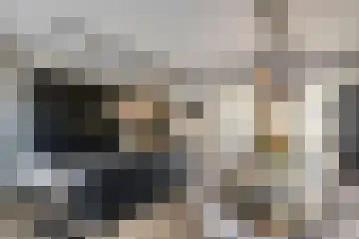 Laan van Selis 1 Boxtel thumbnail 13