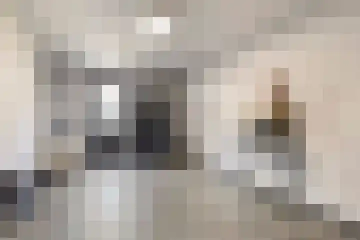 Laan van Selis 1 Boxtel thumbnail 19