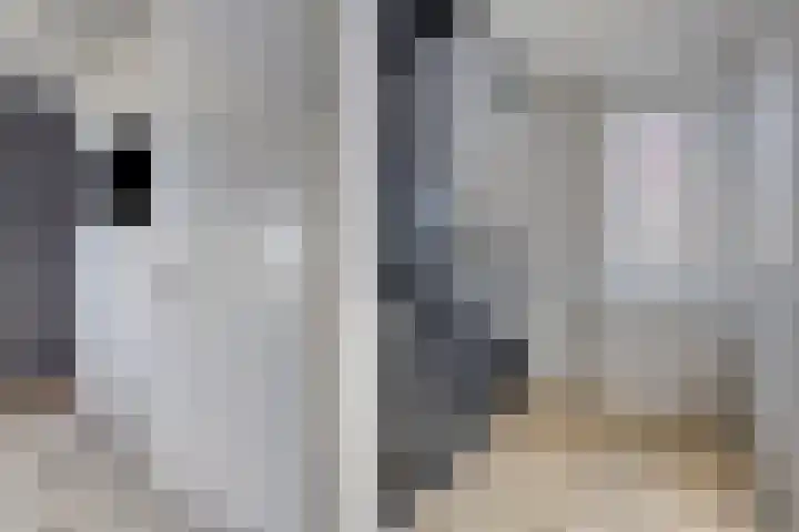 Laan van Selis 1 Boxtel thumbnail 20