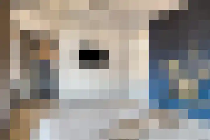 Laan van Selis 1 Boxtel thumbnail 24