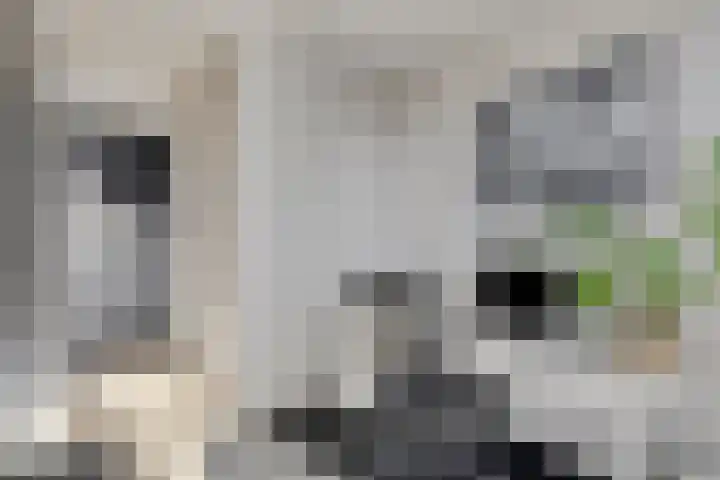 Laan van Selis 1 Boxtel thumbnail 29