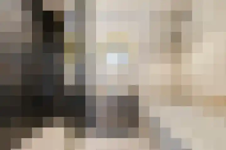 Laan van Selis 1 Boxtel thumbnail 30