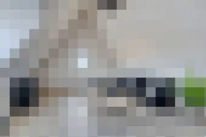 Laan van Selis 1 Boxtel thumbnail 33