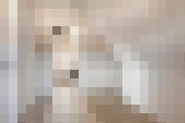 Laan van Selis 1 Boxtel thumbnail 36