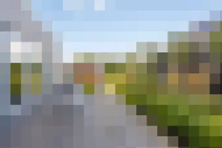Laan van Selis 1 Boxtel thumbnail 37