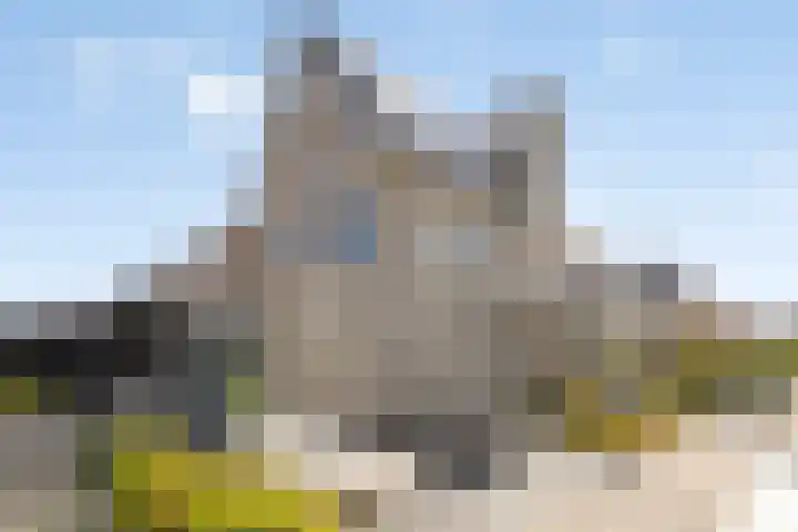 Laan van Selis 1 Boxtel thumbnail 40
