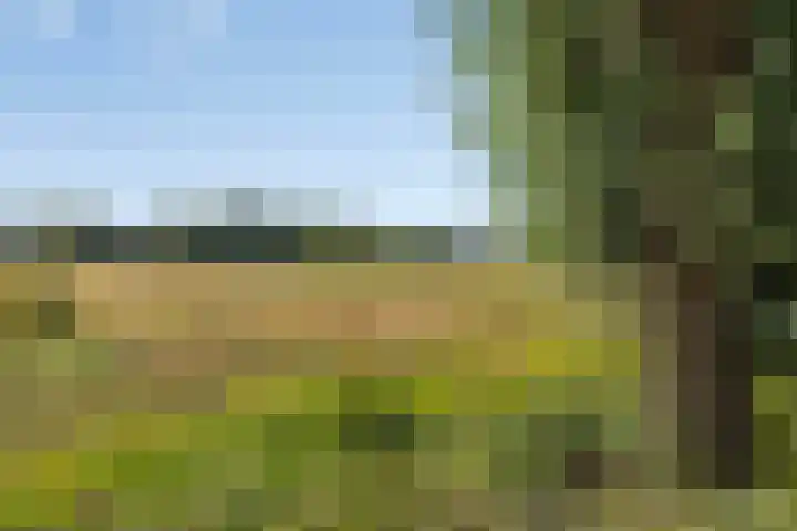 Laan van Selis 1 Boxtel thumbnail 46