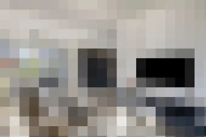 Laan van Selis 1 Boxtel thumbnail 5