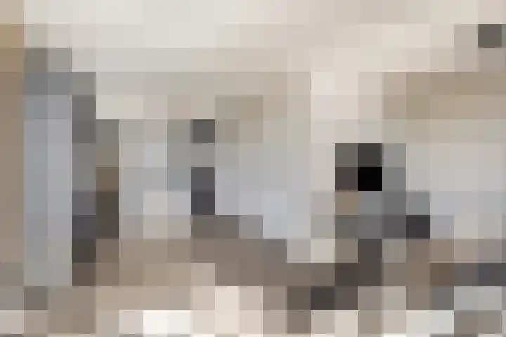 Laan van Selis 1 Boxtel thumbnail 7