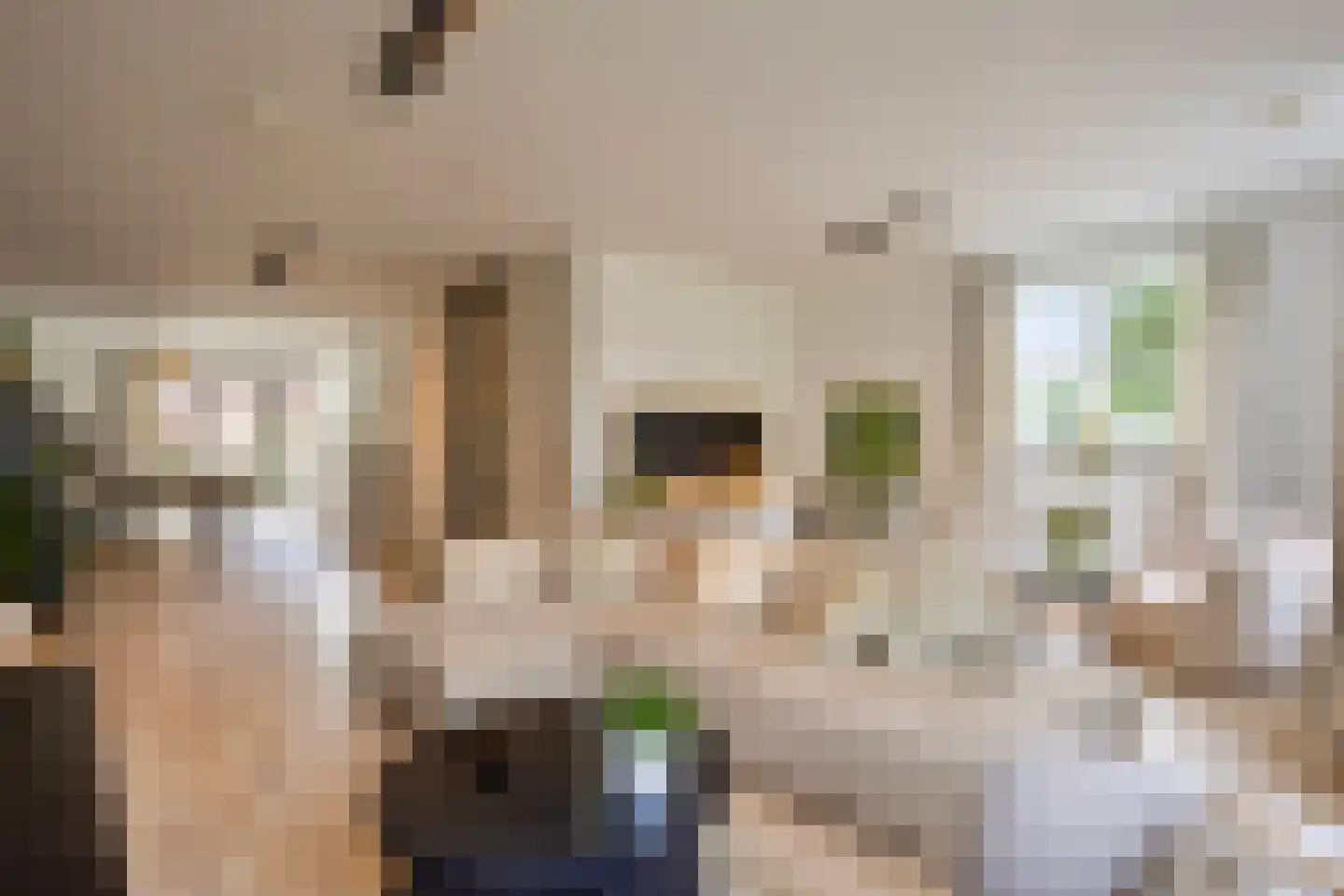 Laan van Selis 2 Boxtel thumbnail 10
