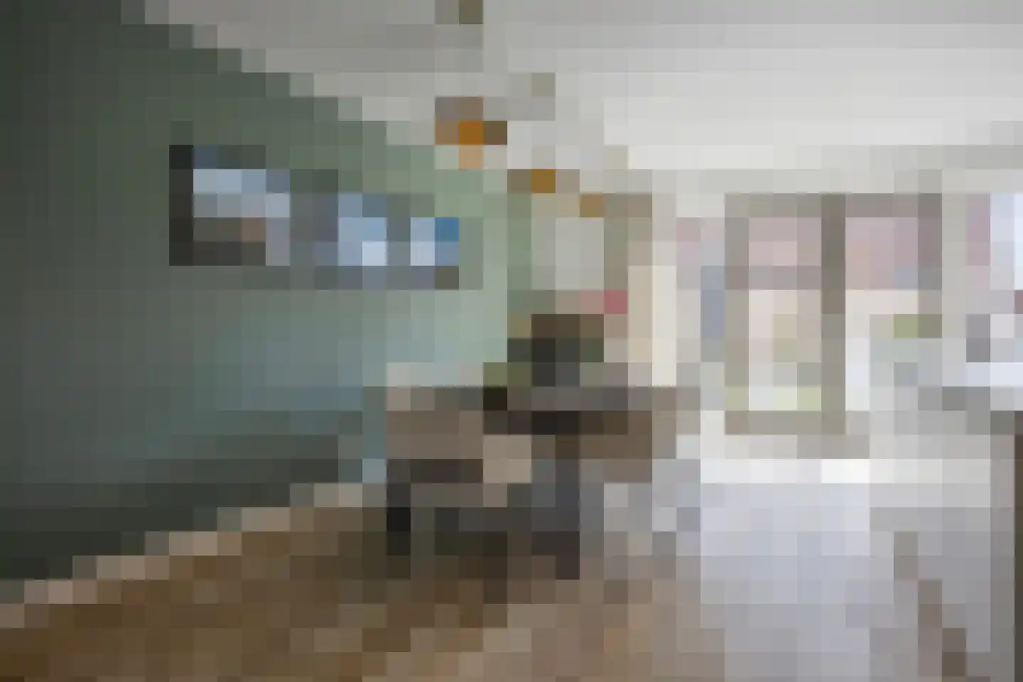 Laan van Selis 2 Boxtel thumbnail 22