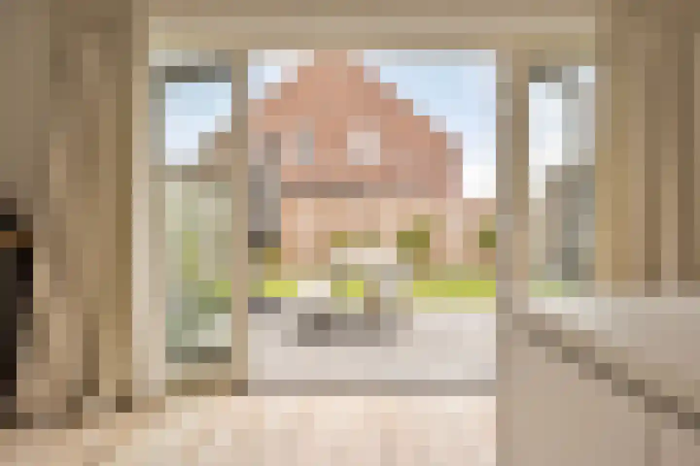 Laan van Selis 2 Boxtel thumbnail 26