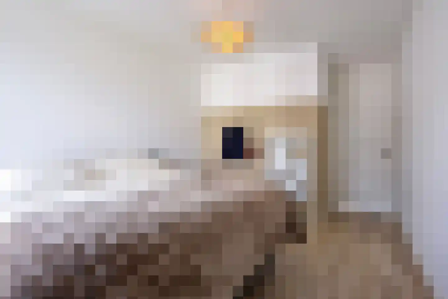 Laan van Selis 2 Boxtel thumbnail 32