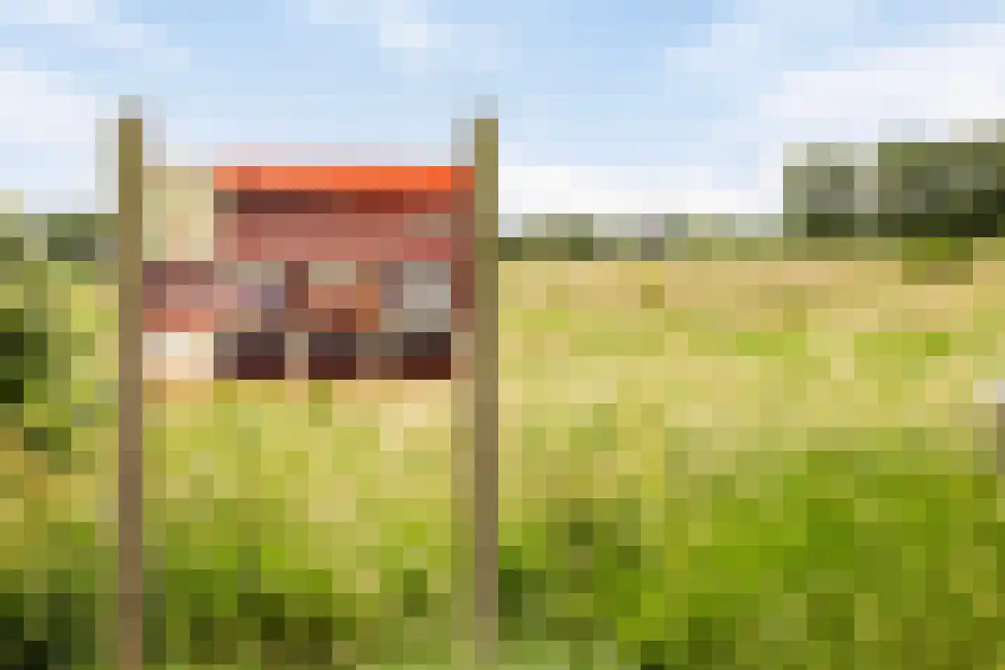 Laan van Selis 2 Boxtel thumbnail 60