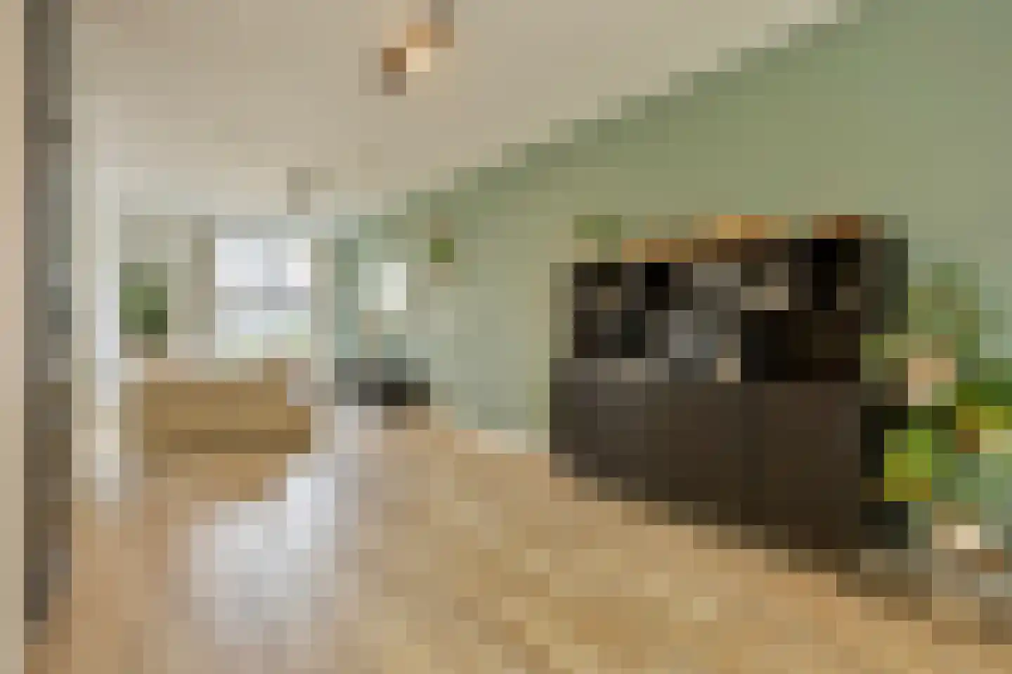 Laan van Selis 2 Boxtel thumbnail 7