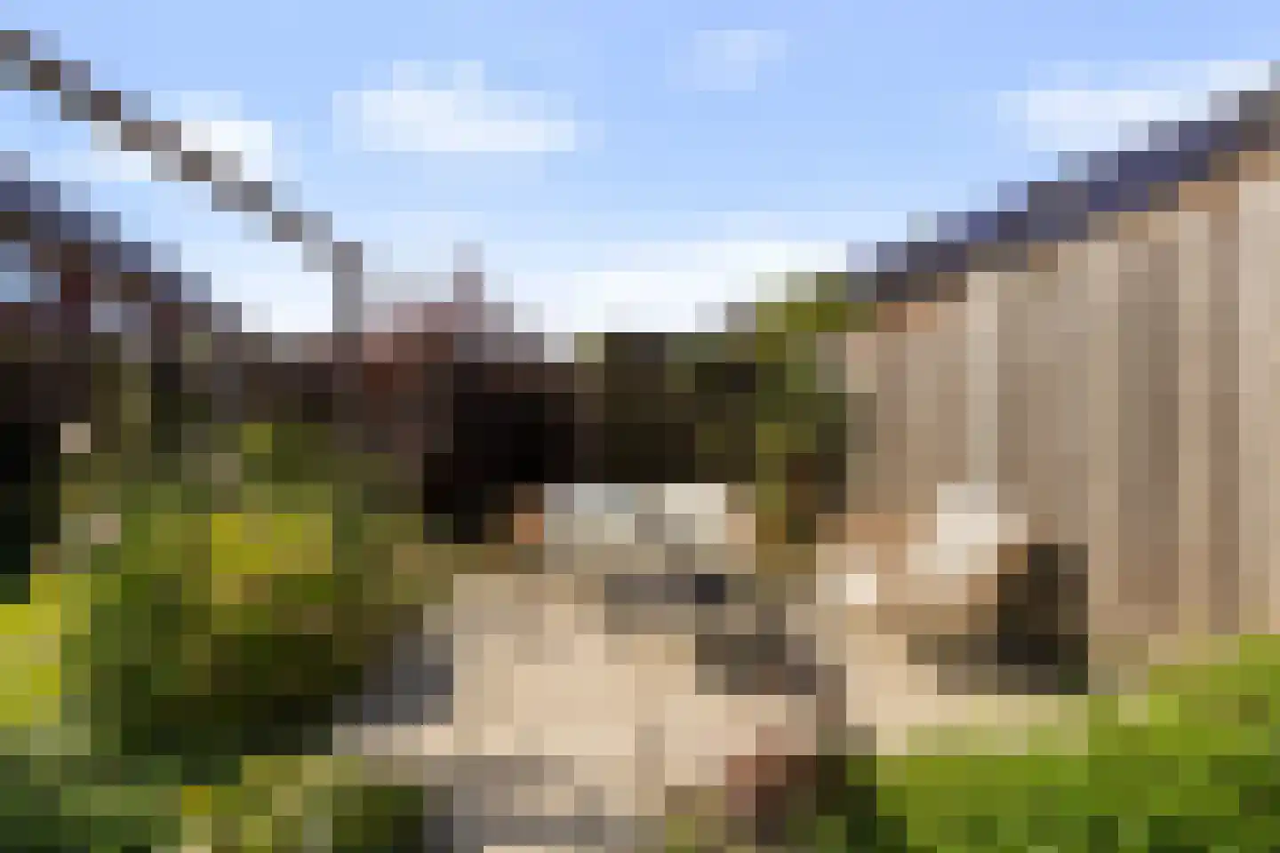 Laan van Selis 23 Boxtel thumbnail 63