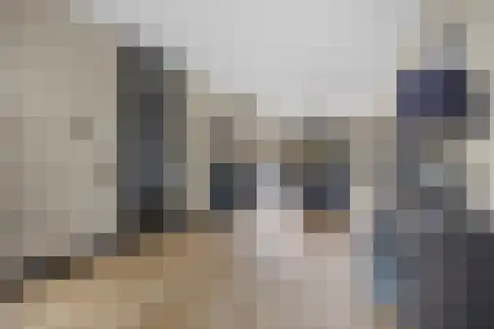 Laan van Selis 3 Boxtel thumbnail 11