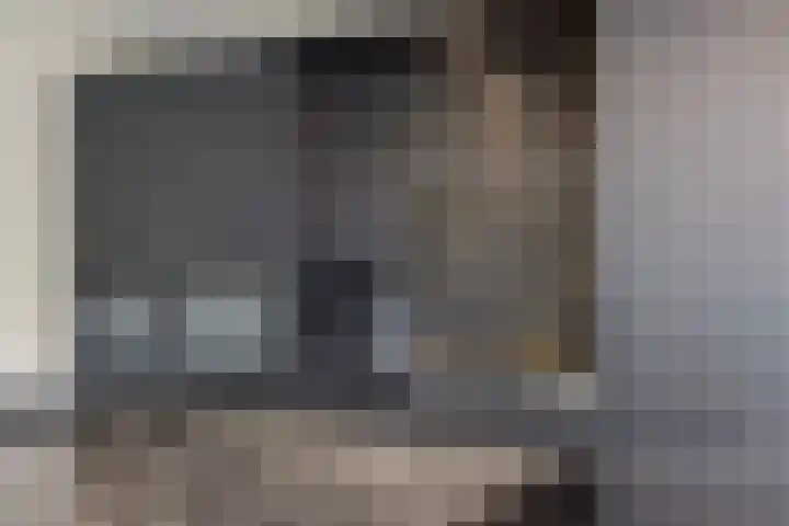 Laan van Selis 3 Boxtel thumbnail 13