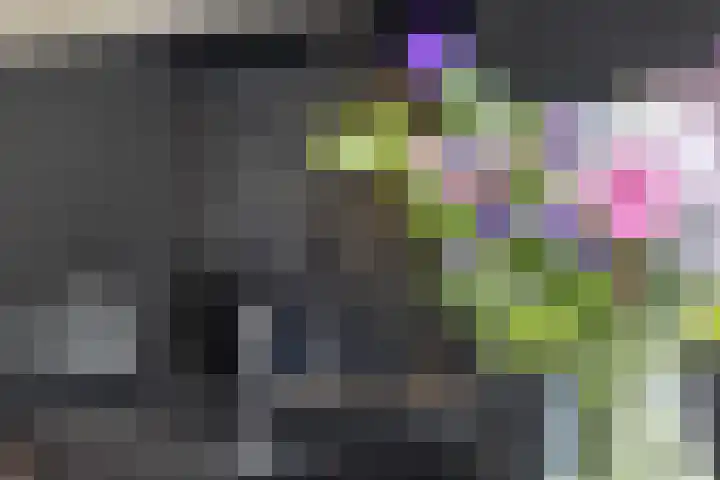 Laan van Selis 3 Boxtel thumbnail 15