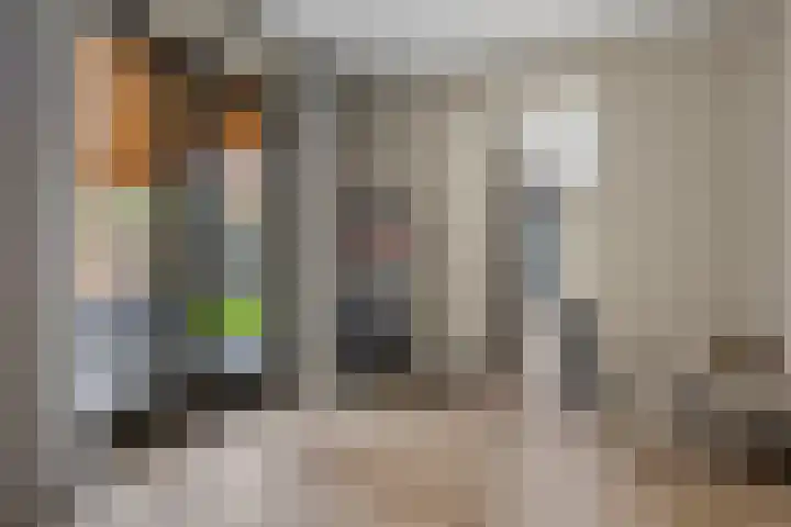 Laan van Selis 3 Boxtel thumbnail 20