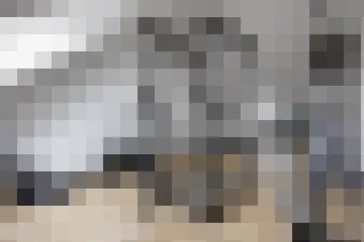 Laan van Selis 3 Boxtel thumbnail 31