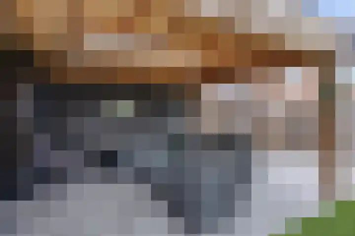 Laan van Selis 3 Boxtel thumbnail 35