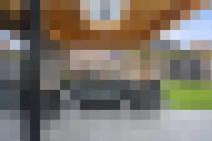 Laan van Selis 3 Boxtel thumbnail 4