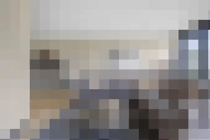 Laan van Selis 3 Boxtel thumbnail 9