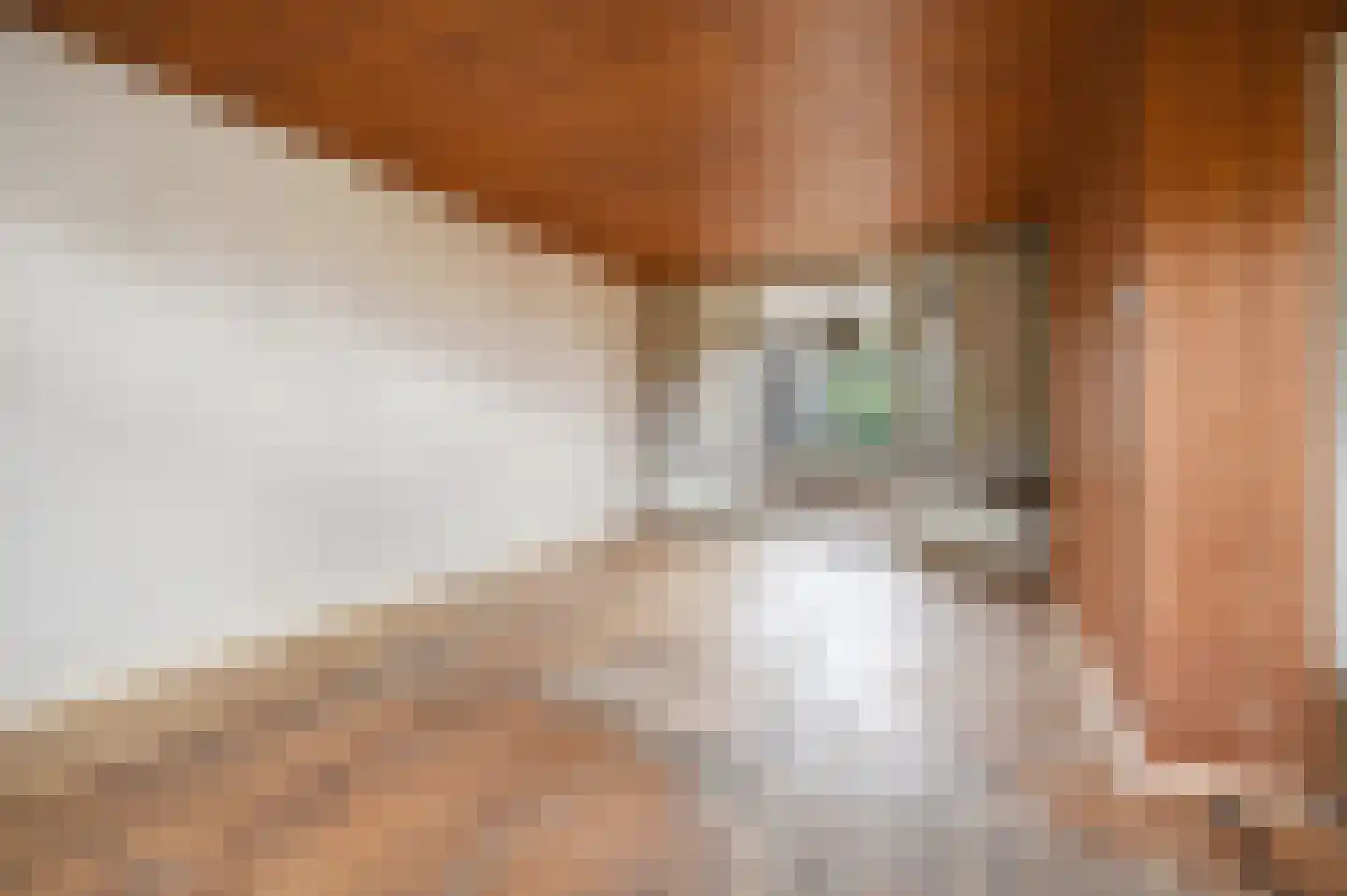 Laan van Sevenstar 10 Voorburg thumbnail 11