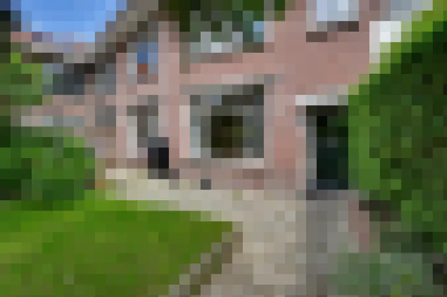 Laan van Sevenstar 10 Voorburg foto 2