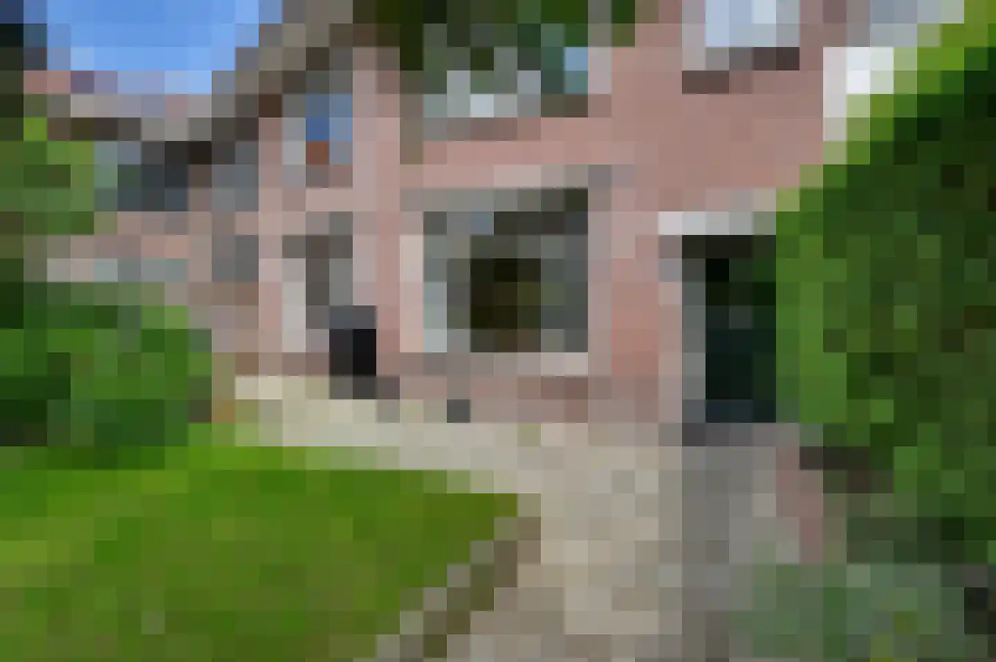 Laan van Sevenstar 10 Voorburg foto 2