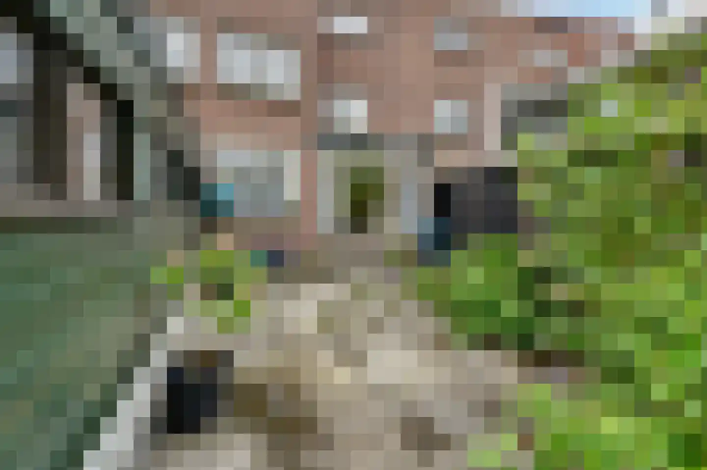 Laan van Sevenstar 10 Voorburg thumbnail 25