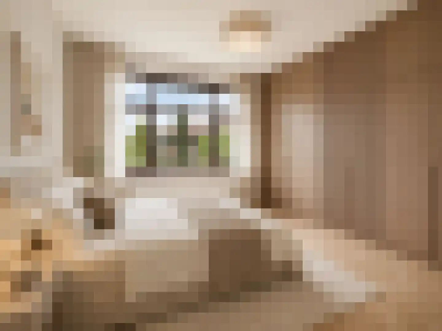 Laan van Sevenstar 10 Voorburg thumbnail 35