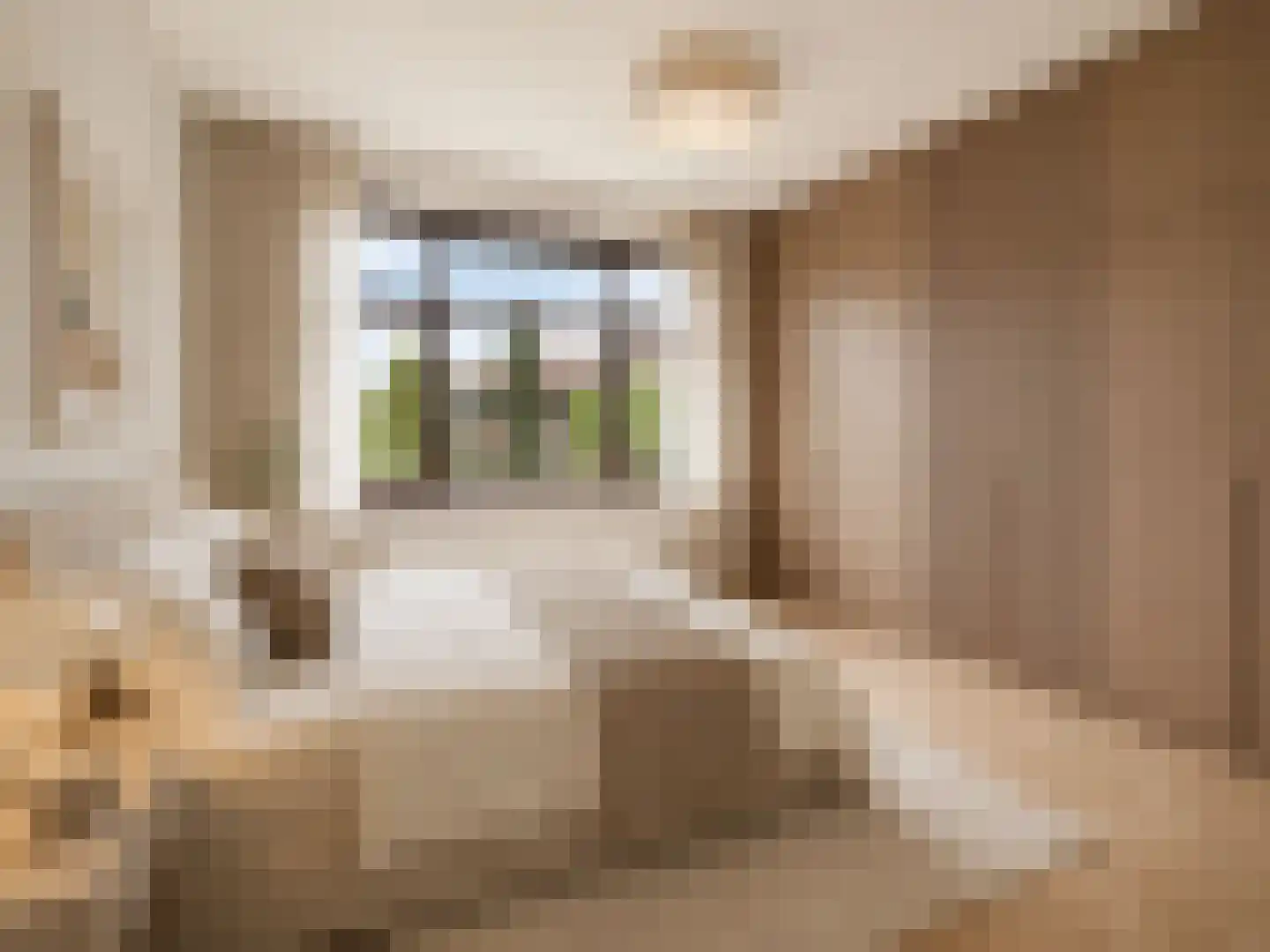 Laan van Sevenstar 10 Voorburg thumbnail 35