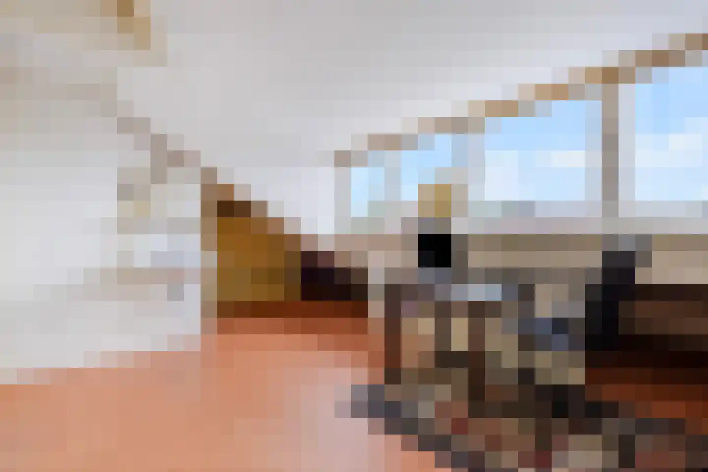 Laan van Sevenstar 6 Voorburg thumbnail 25