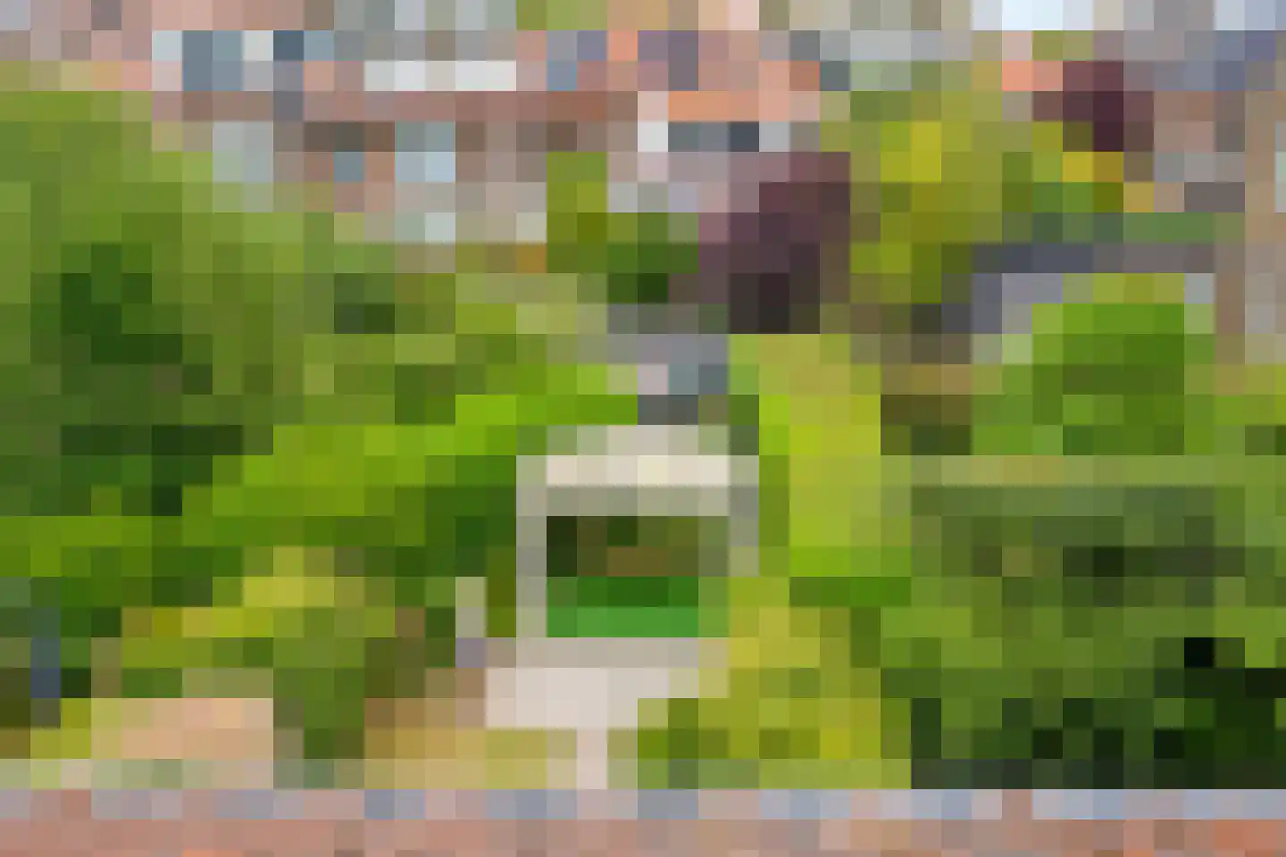 Laan van Sevenstar 6 Voorburg thumbnail 26