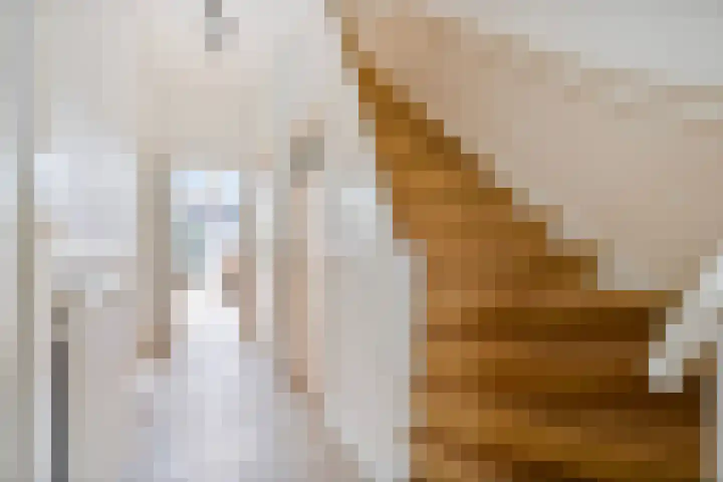 Laan van Sevenstar 6 Voorburg thumbnail 8