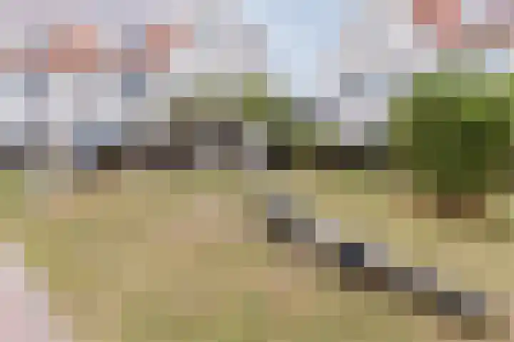 Laan van Sion 273 Rijswijk thumbnail 29