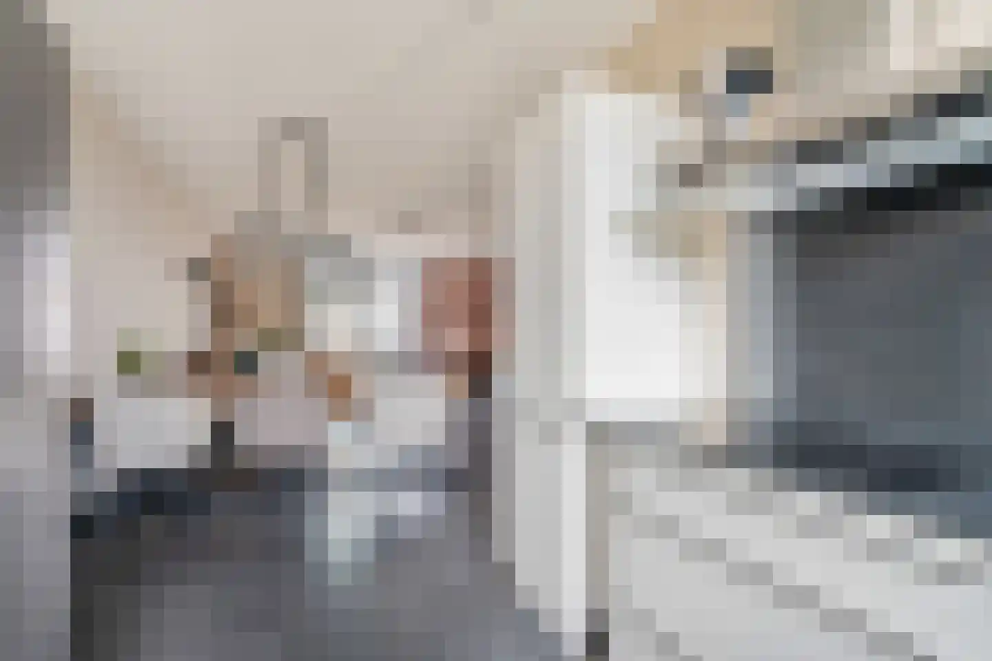 Laan van Sion 345 Rijswijk thumbnail 8