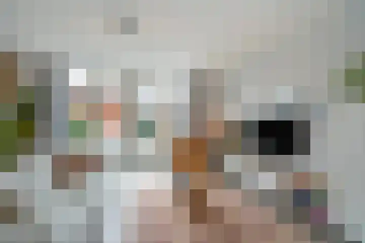 Laan van Sion 347 Rijswijk thumbnail 10
