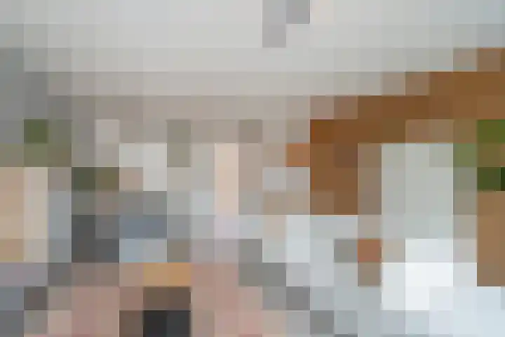 Laan van Sion 347 Rijswijk thumbnail 12