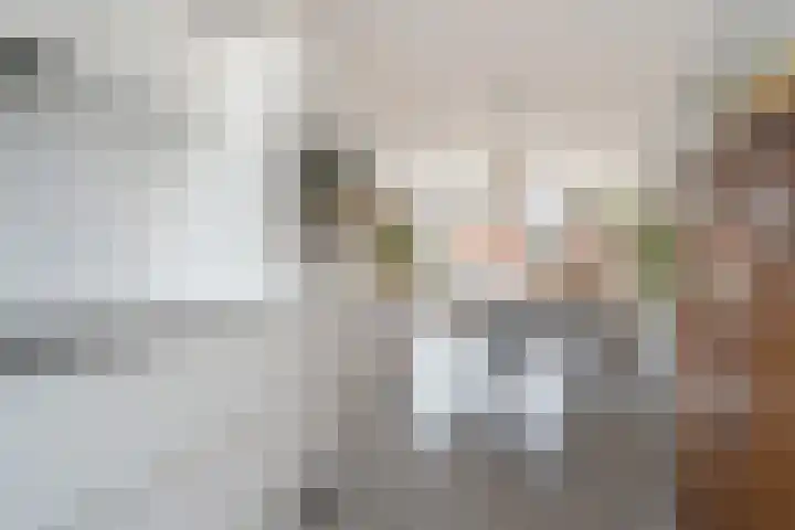 Laan van Sion 347 Rijswijk thumbnail 16