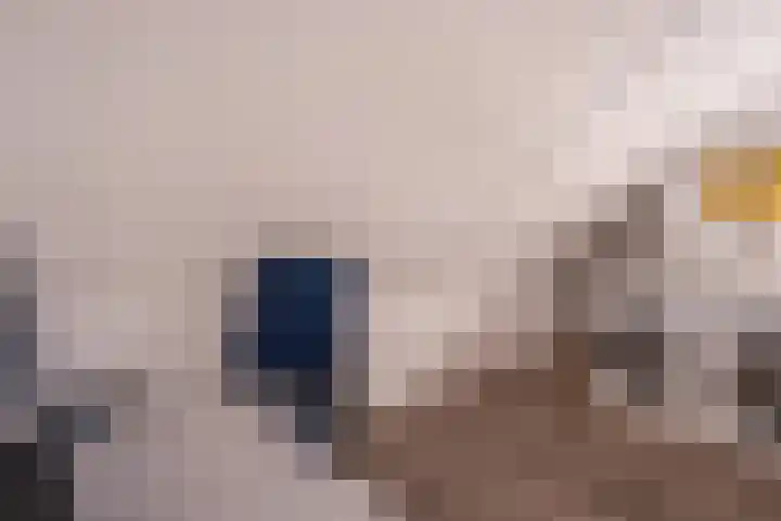 Laan van Sion 347 Rijswijk thumbnail 33