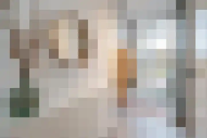 Laan van Sion 347 Rijswijk thumbnail 7